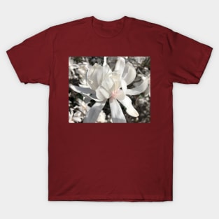 Whte Spider Magnolia T-Shirt